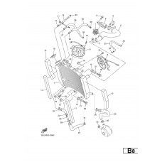 RADIATOR & HOSE