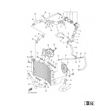 RADIATOR & HOSE