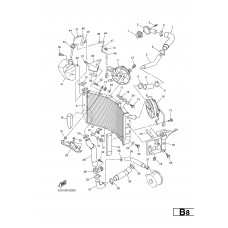 RADIATOR & HOSE