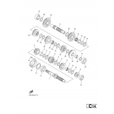TRANSMISSION
