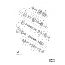 TRANSMISSION