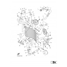 RADIATOR & HOSE