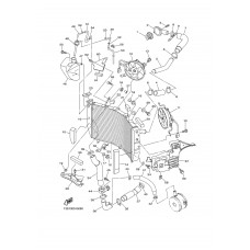 RADIATOR & HOSE